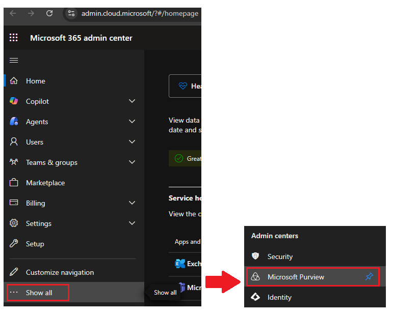 open microsoft purview